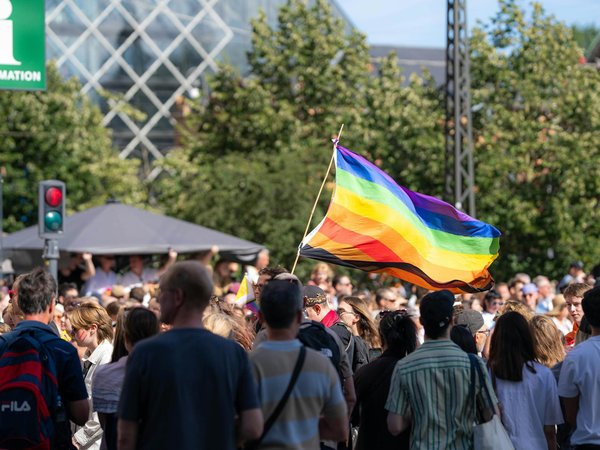 Top 5 raisons d'essayer weed side story : qualité et services